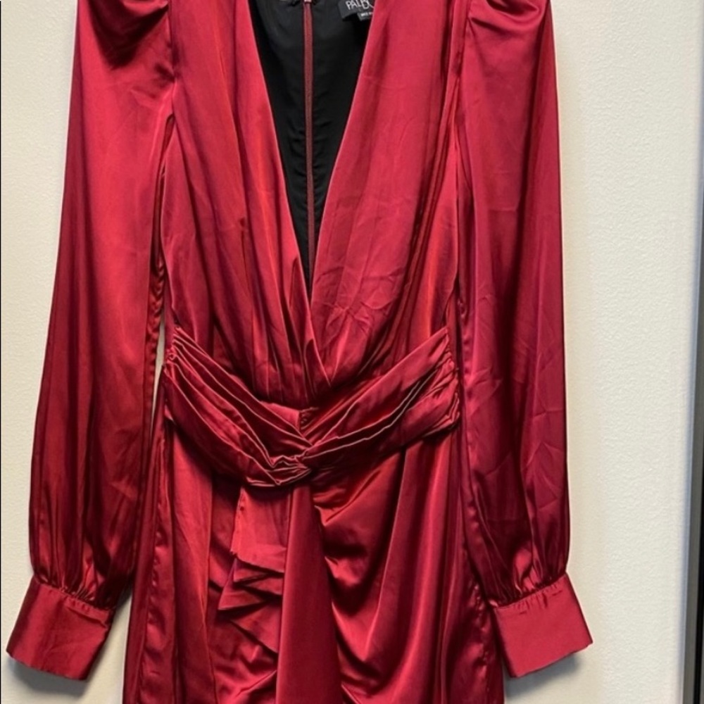 PatBo Red Ruched Dress - Picture 6 of 9